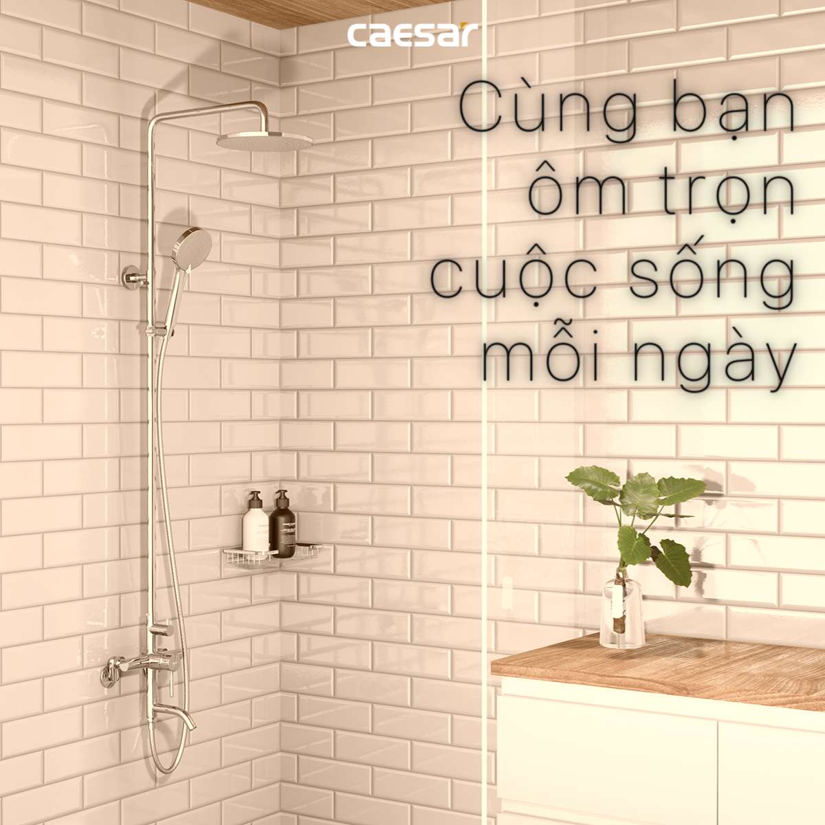 Bộ sen tắm cây nóng lạnh Caesar S1028S