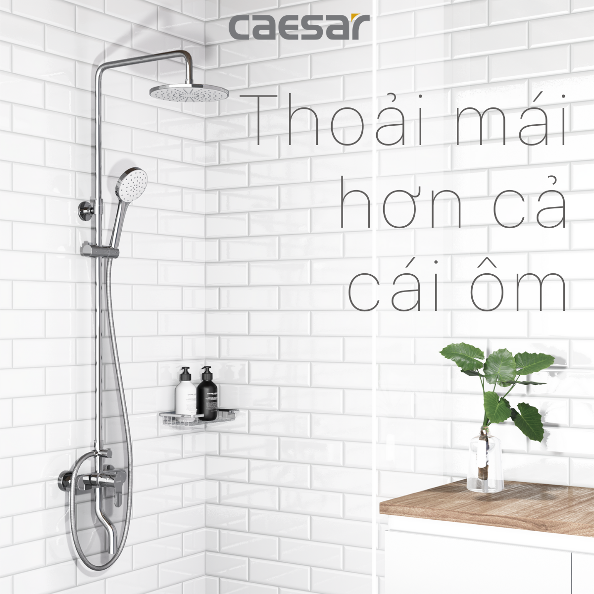 Bộ sen tắm cây nóng lạnh Caesar S338C