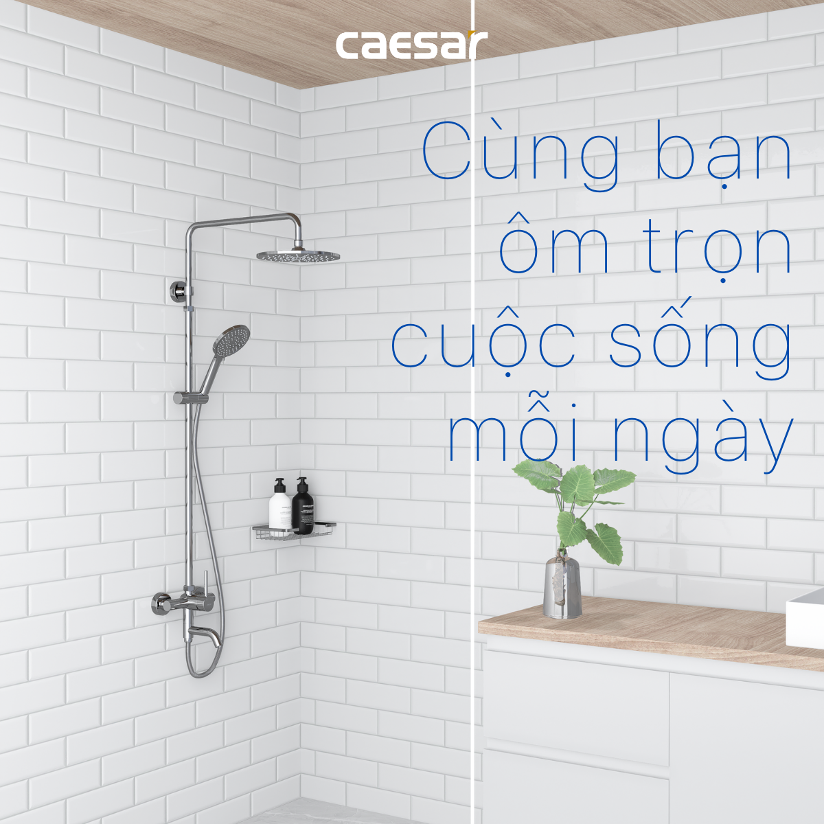 Bộ sen tắm cây nóng lạnh Caesar S338C
