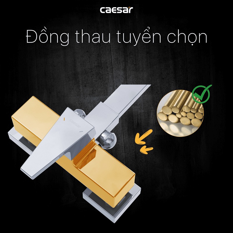 Bộ sen tắm cây nóng lạnh Caesar S648C