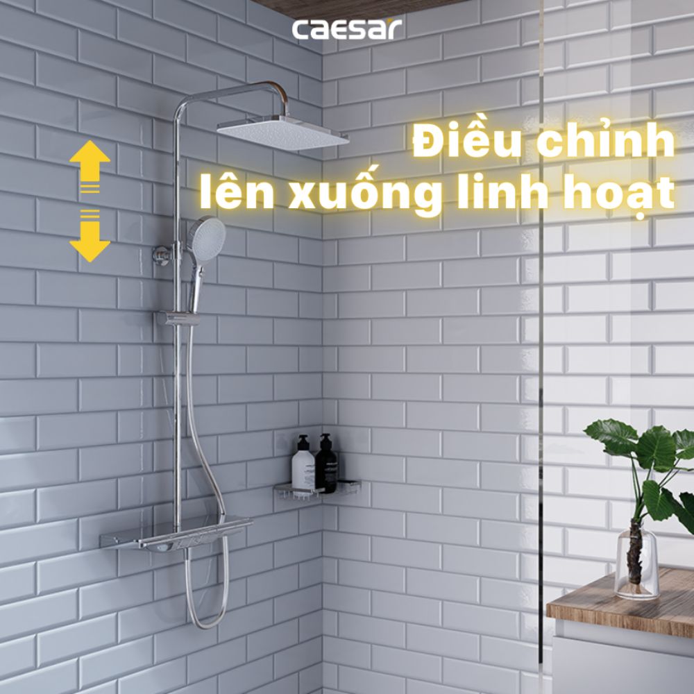 Sen cây tắm đứng ổn nhiệt Caesar S658C
