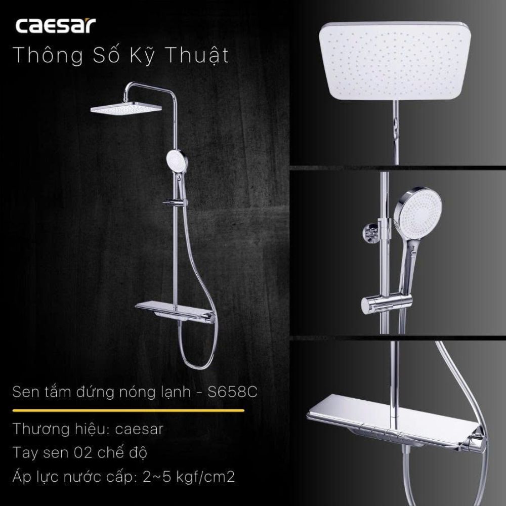 Sen cây tắm đứng ổn nhiệt Caesar S658C