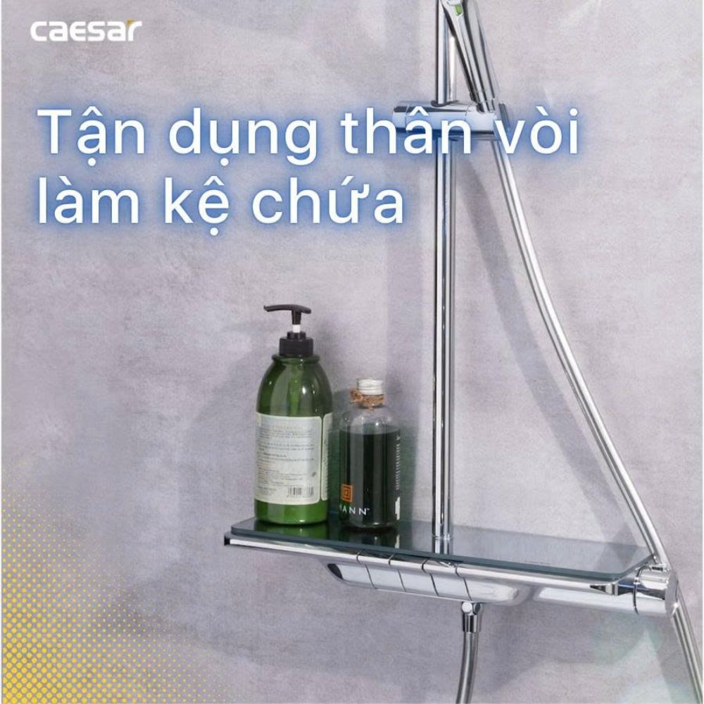 Sen cây tắm đứng ổn nhiệt Caesar S658C