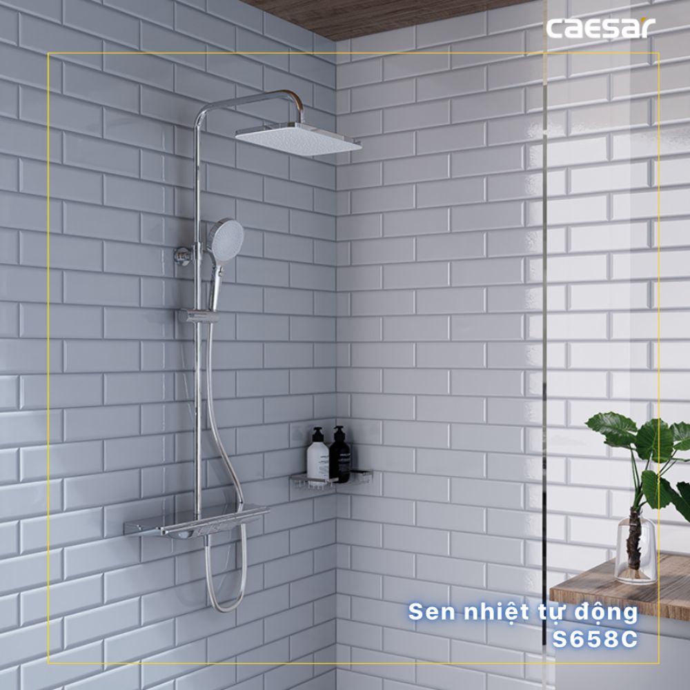 Sen cây tắm đứng ổn nhiệt Caesar S658C