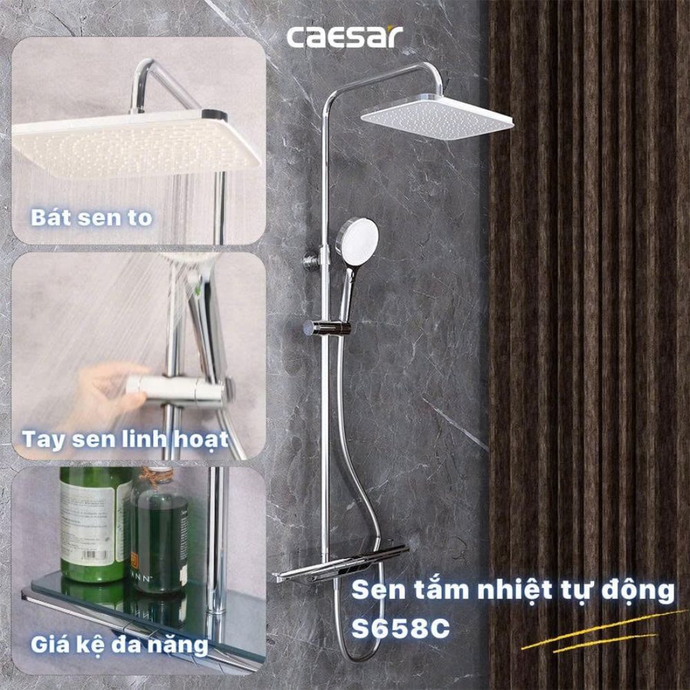 Sen cây tắm đứng ổn nhiệt Caesar S658C