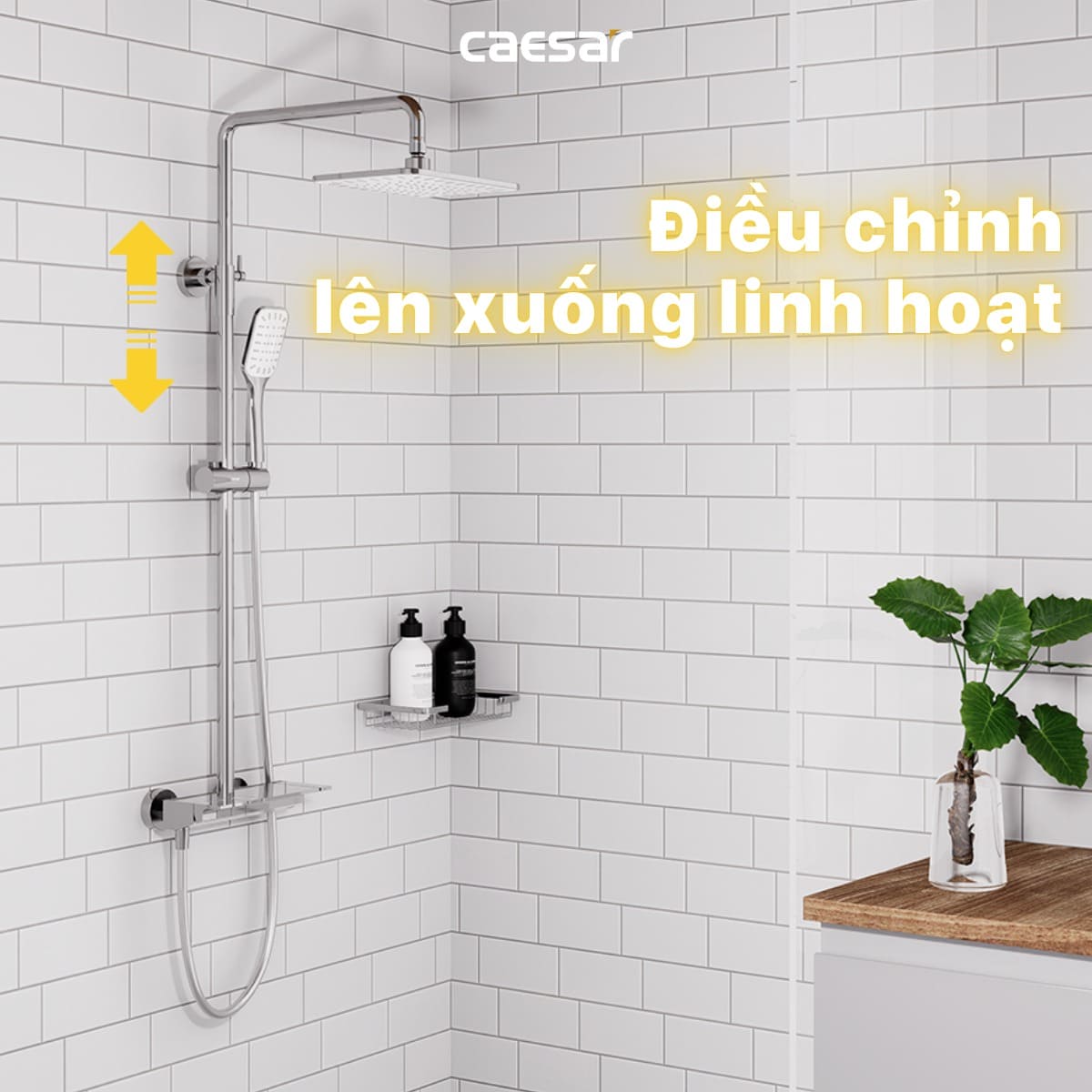 Bộ sen tắm cây nóng lạnh Caesar S688C