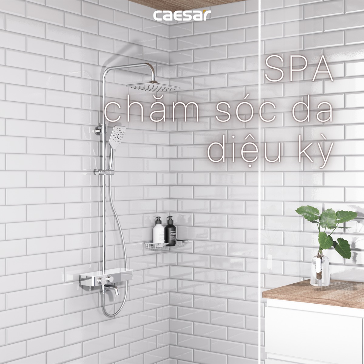Bộ sen tắm cây nhiệt độ Caesar S788C