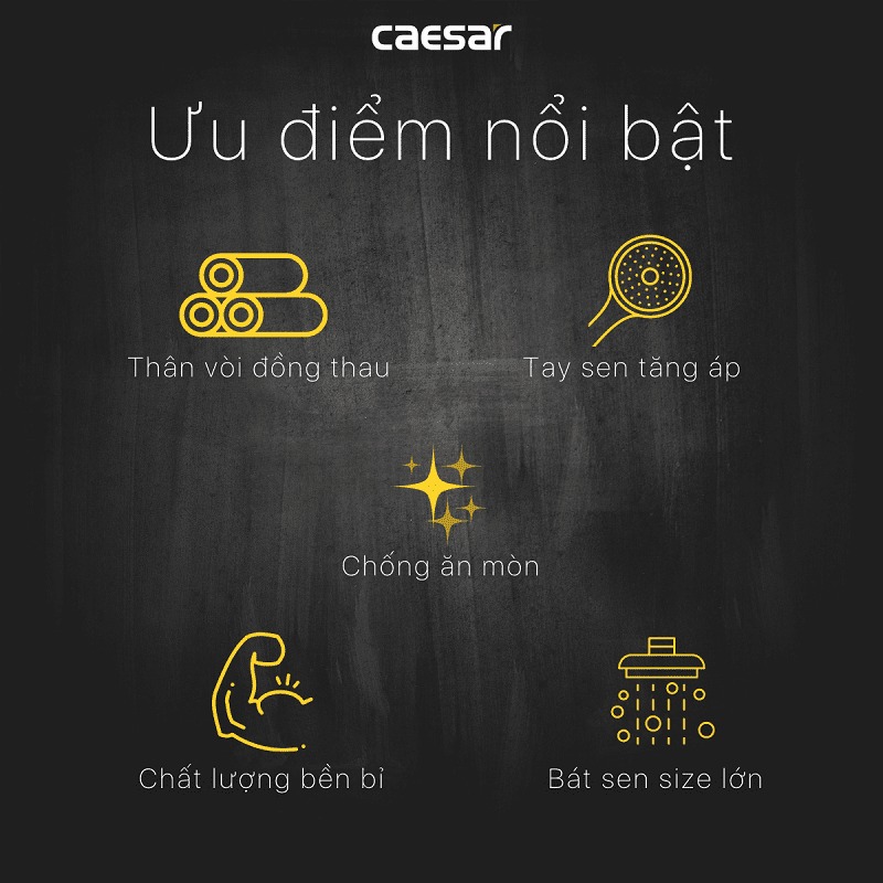 Sen tắm âm tường nóng lạnh Caesar BS641