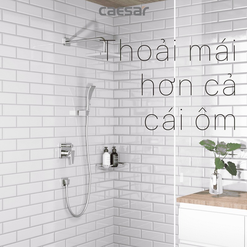 Sen tắm âm tường nóng lạnh Caesar BS641