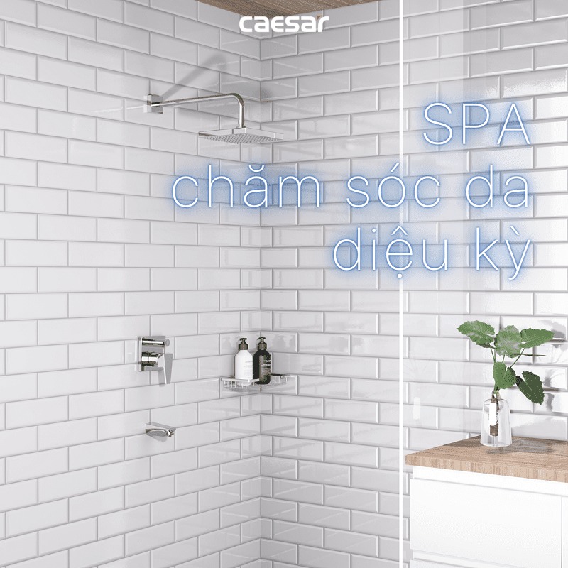 Sen tắm âm tường nóng lạnh Caesar BS644