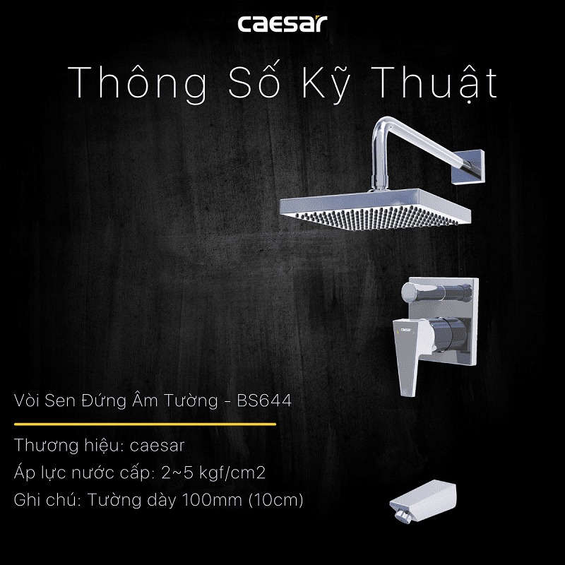 Sen tắm âm tường nóng lạnh Caesar BS644