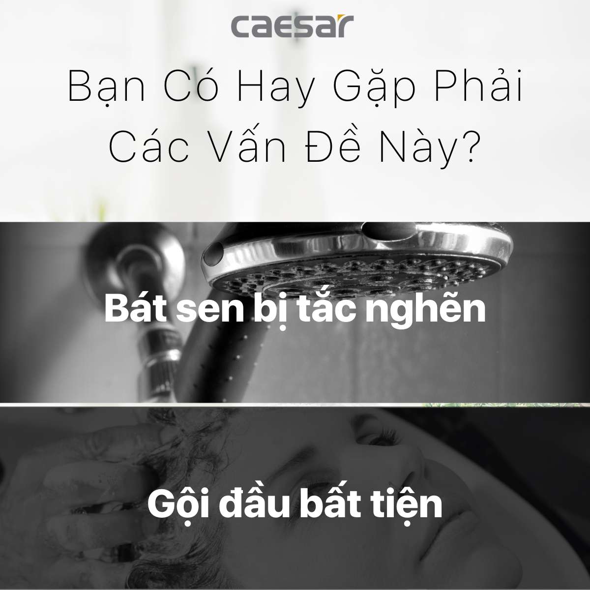 Tay sen tắm 1 chế độ Caesar SH110