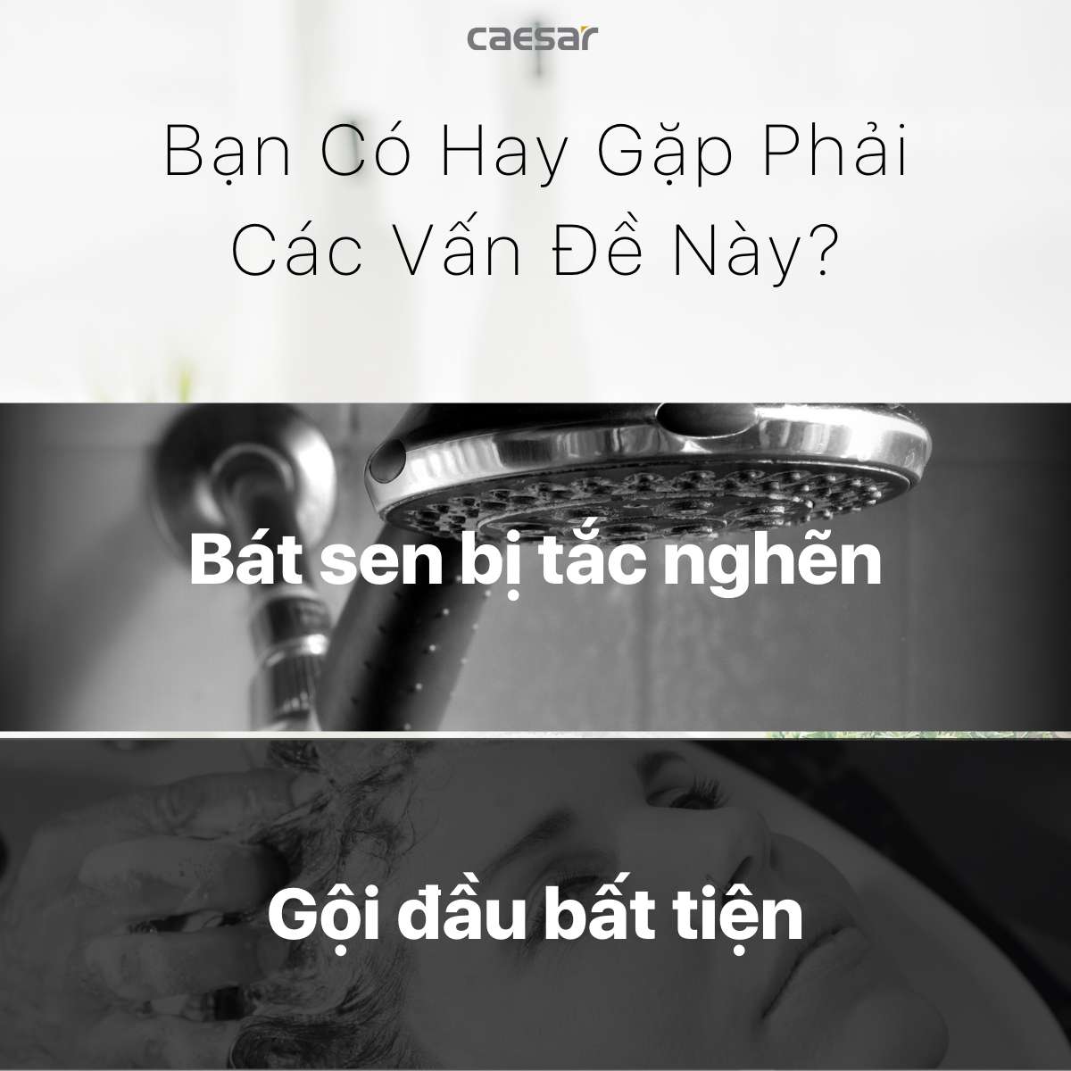 Tay sen tắm 3 chế độ Caesar SH237V