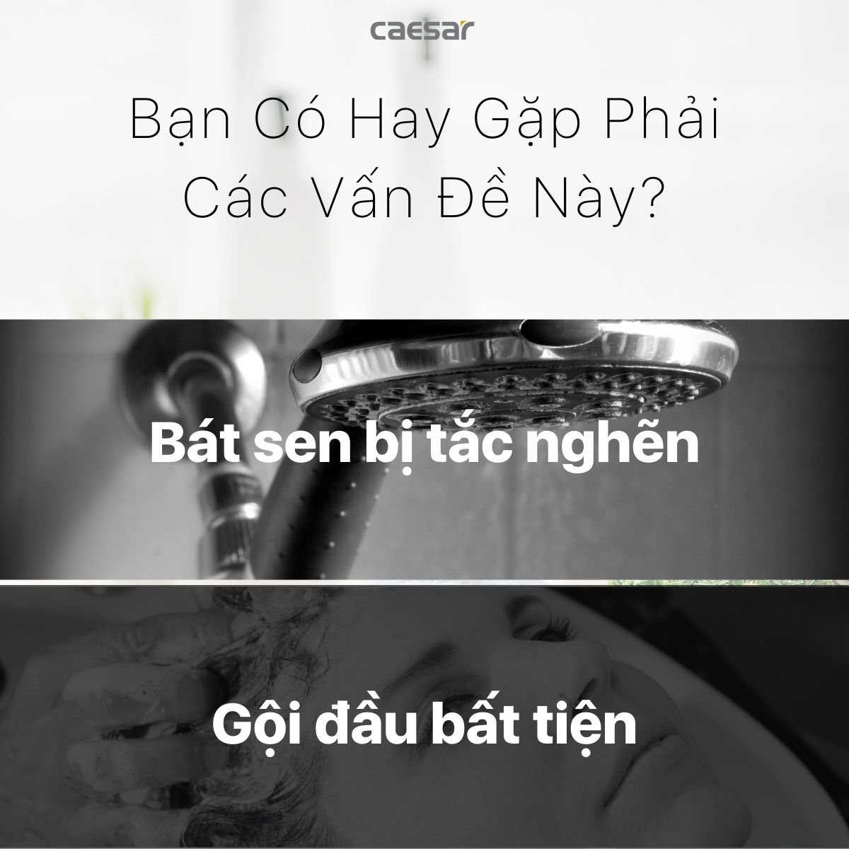 Tay sen tắm 3 chế độ Caesar SH437