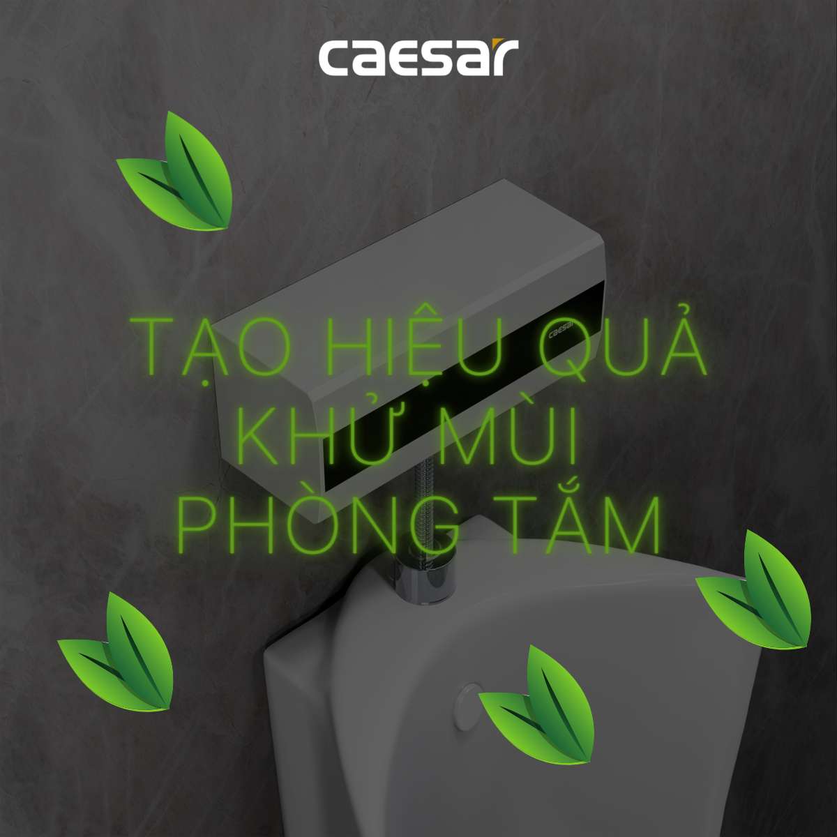Van tiểu cảm ứng tạo ozon dùng điện Caesar A649OZ