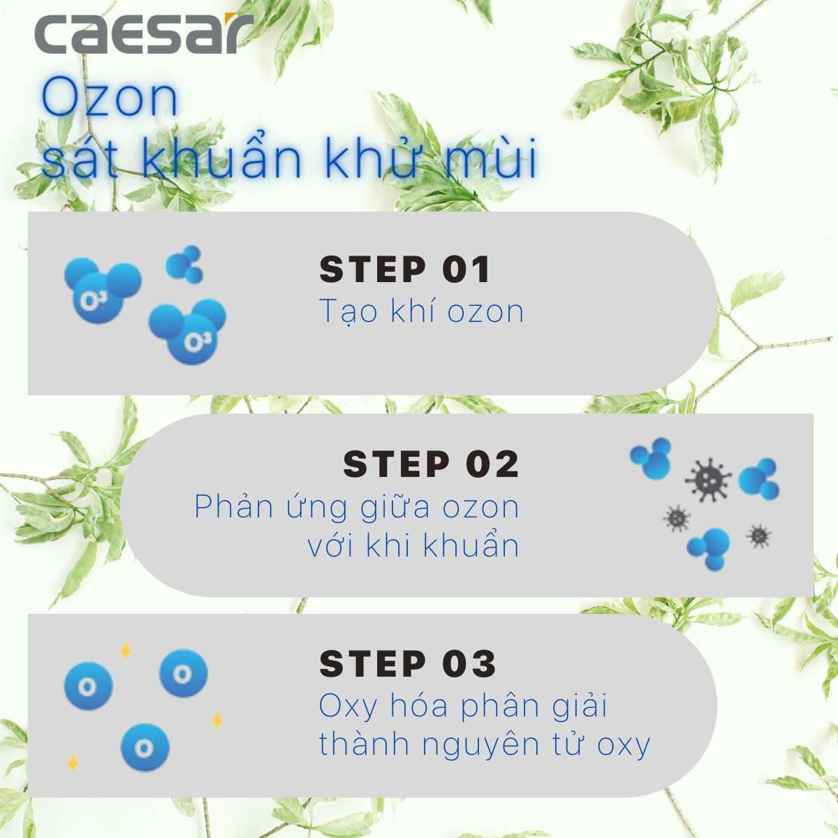 Van tiểu cảm ứng tạo ozon dùng điện Caesar A649OZ