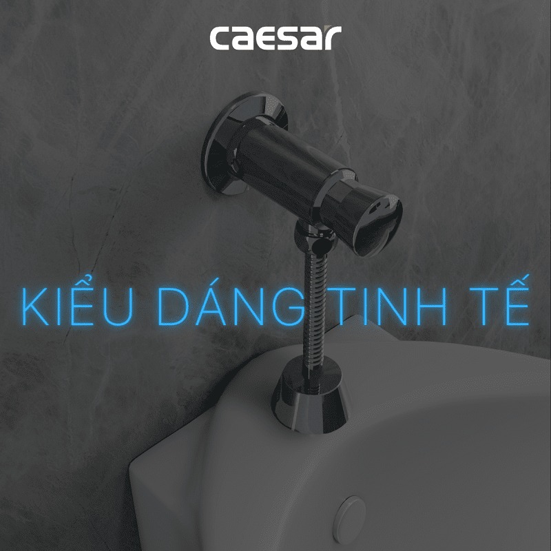 Van xả cơ bồn tiểu nam Caesar BF410