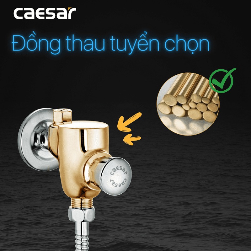 Van xả cơ bồn tiểu nam Caesar BF412G
