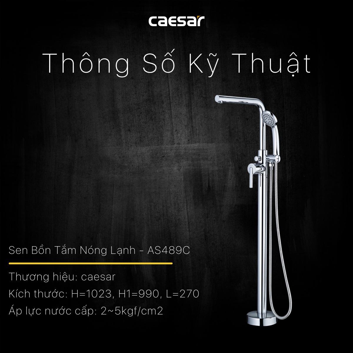 Vòi sen bồn tắm nóng lạnh Caesar AS489C