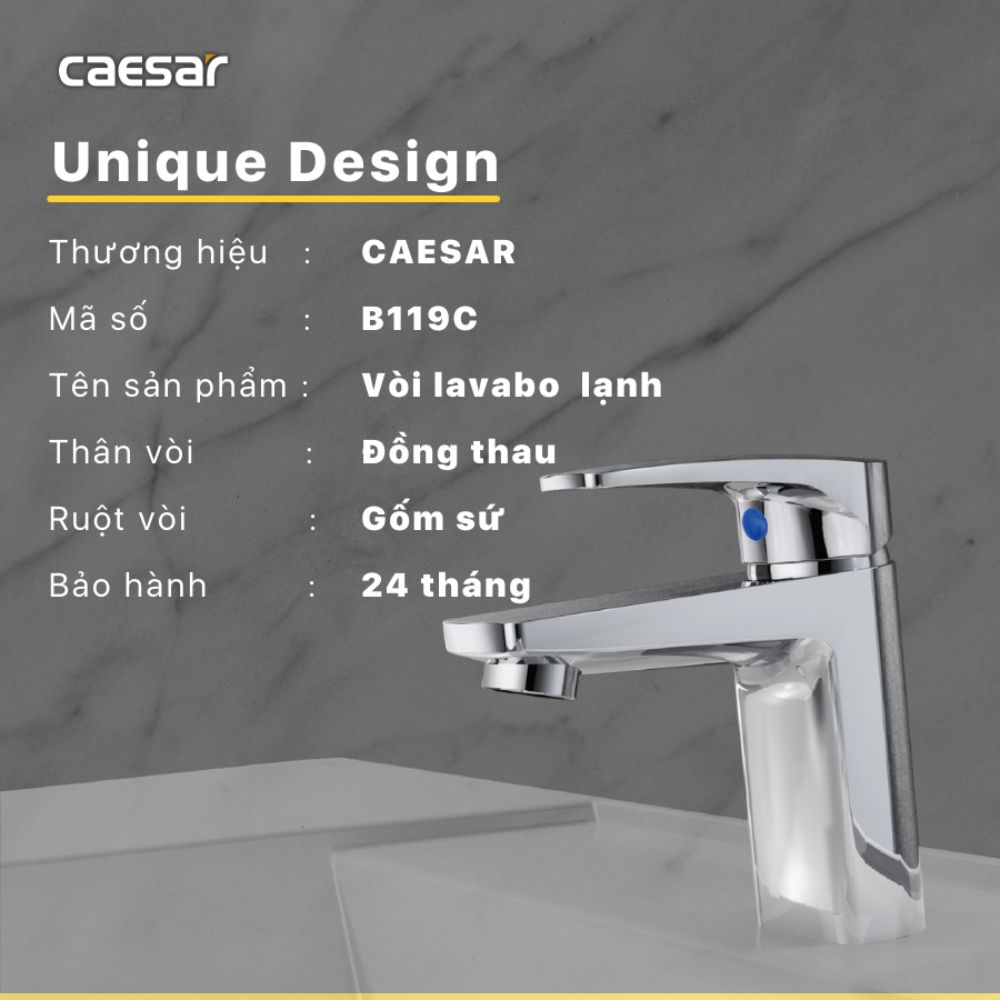 Vòi chậu lavabo lạnh Caesar B119C