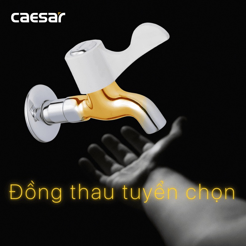 Vòi nước lạnh gắn tường Caesar W027C