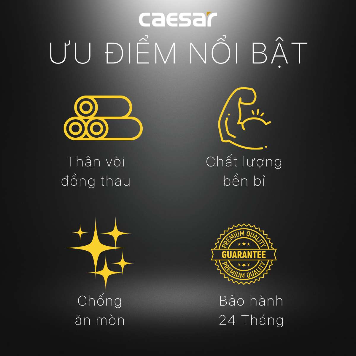 Vòi nước lạnh gắn tường Caesar W034-1 (W0341)