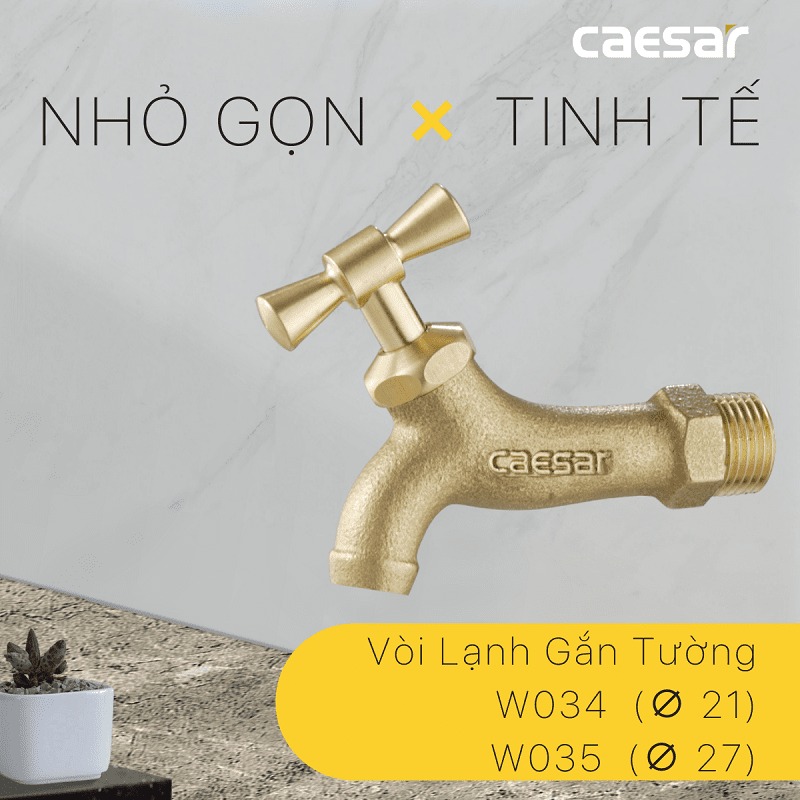 Vòi nước lạnh gắn tường Caesar W034