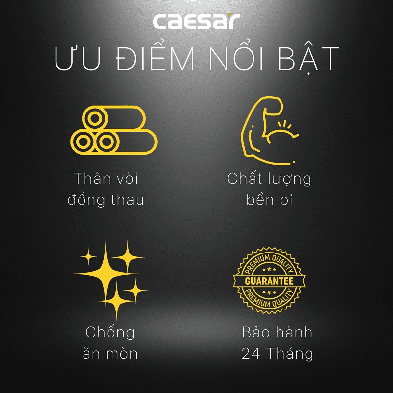 Vòi nước lạnh gắn tường Caesar W034