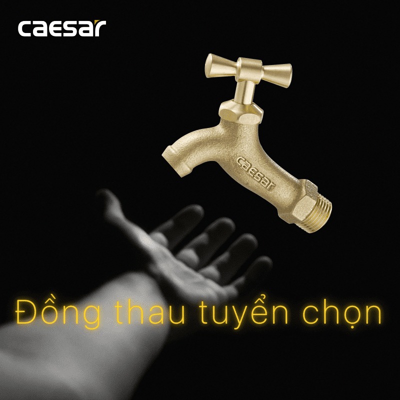 Vòi nước lạnh gắn tường Caesar W034