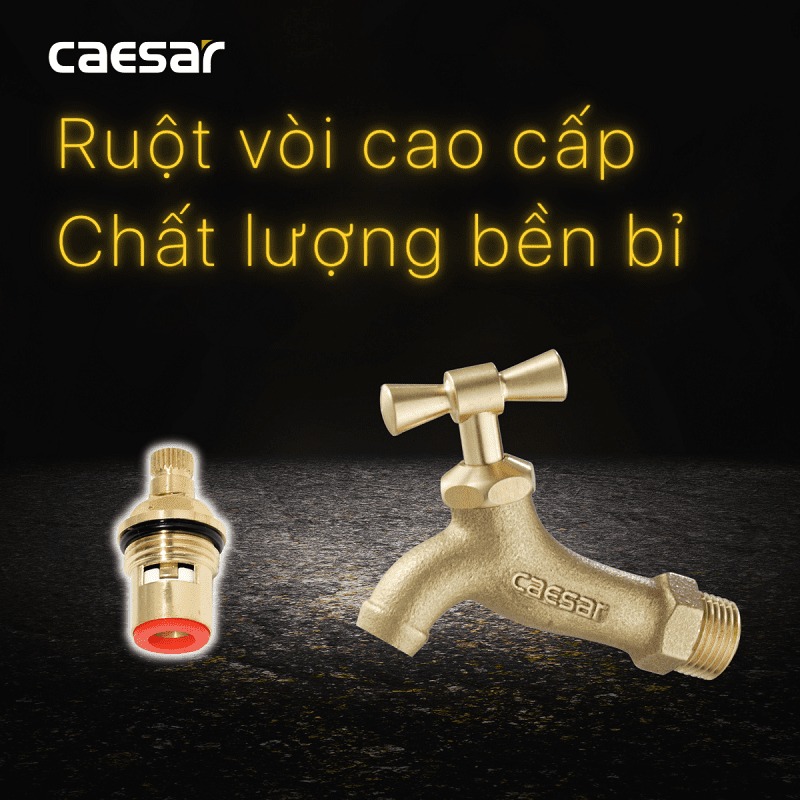 Vòi nước lạnh gắn tường Caesar W034