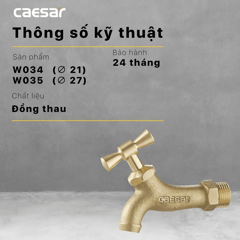 Vòi nước lạnh gắn tường Caesar W034