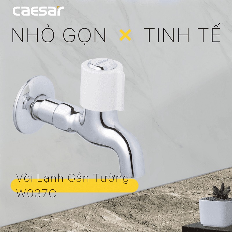 Vòi nước lạnh gắn tường Caesar W037C