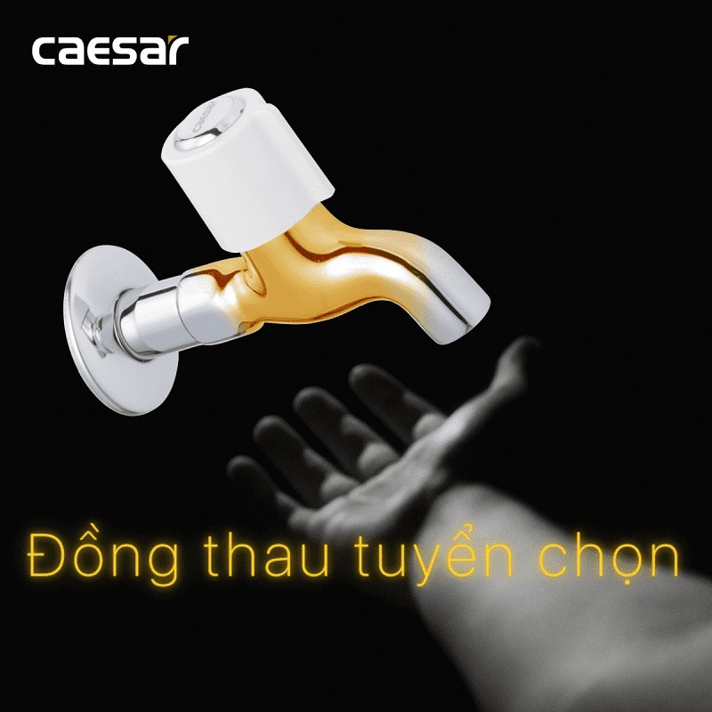 Vòi nước lạnh gắn tường Caesar W037C