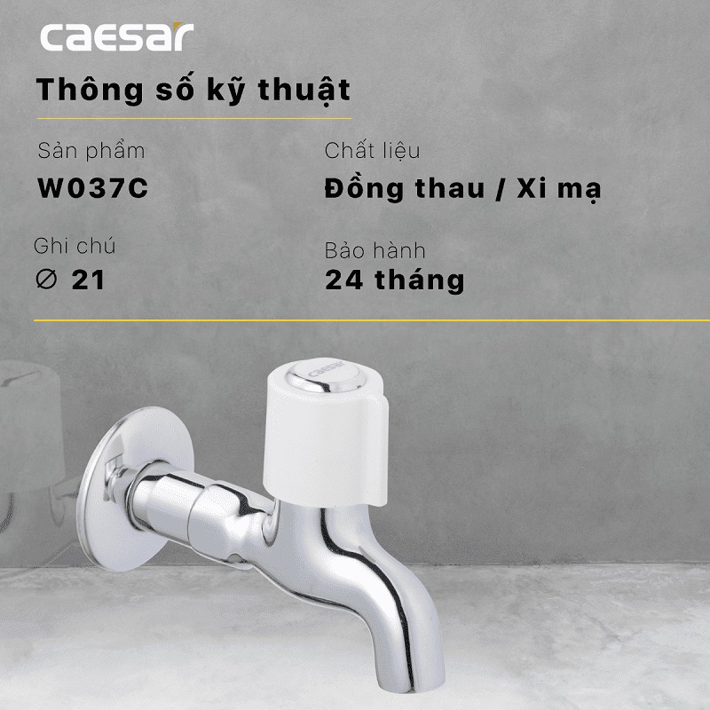 Vòi nước lạnh gắn tường Caesar W037C
