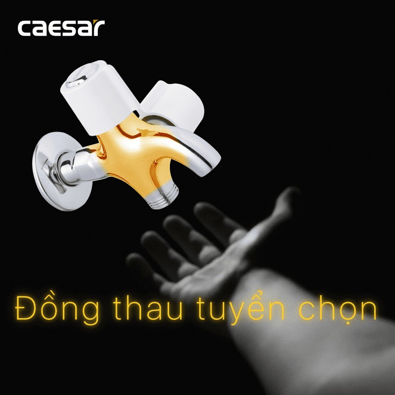 Vòi nước lạnh Caesar W038C