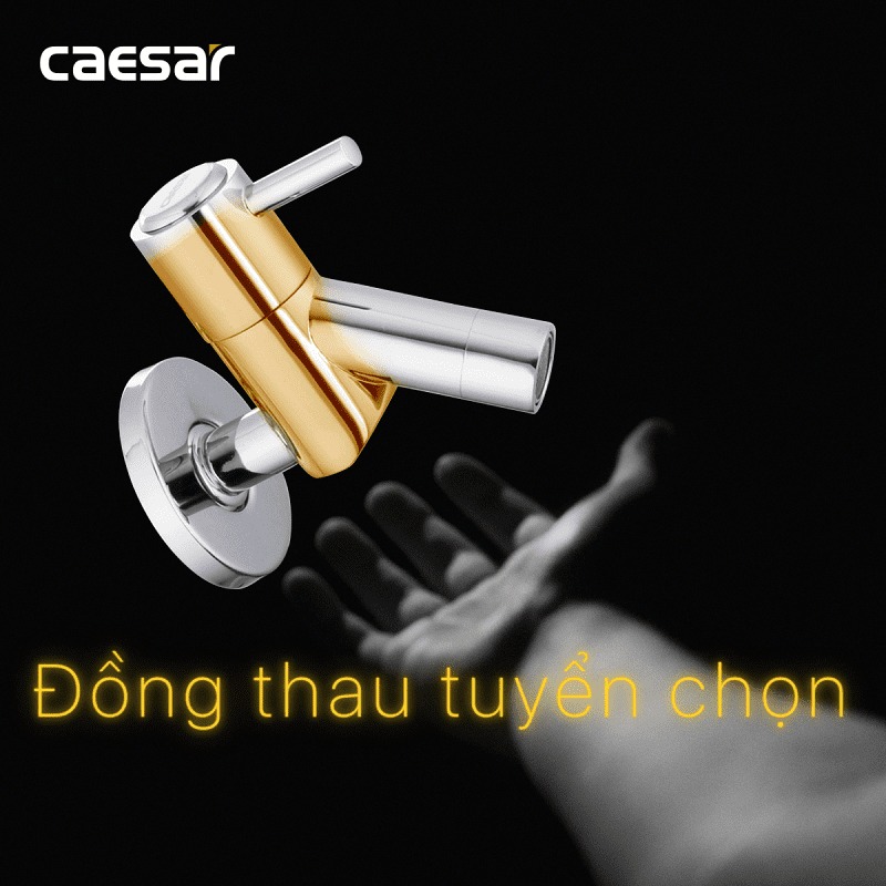 Vòi nước lạnh gắn tường Caesar W047C