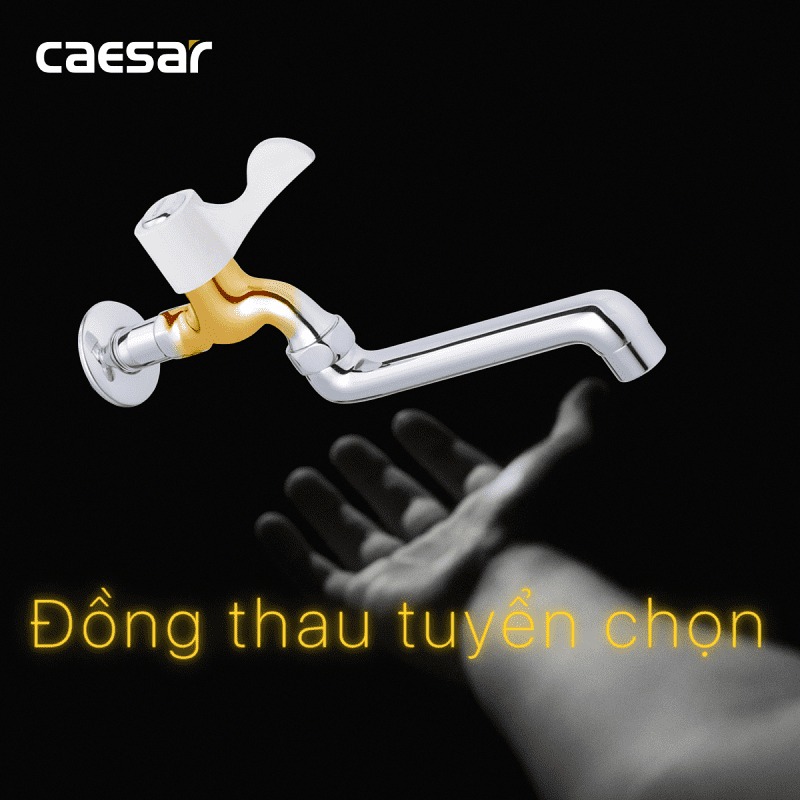 Vòi nước lạnh gắn tường Caesar WL027C
