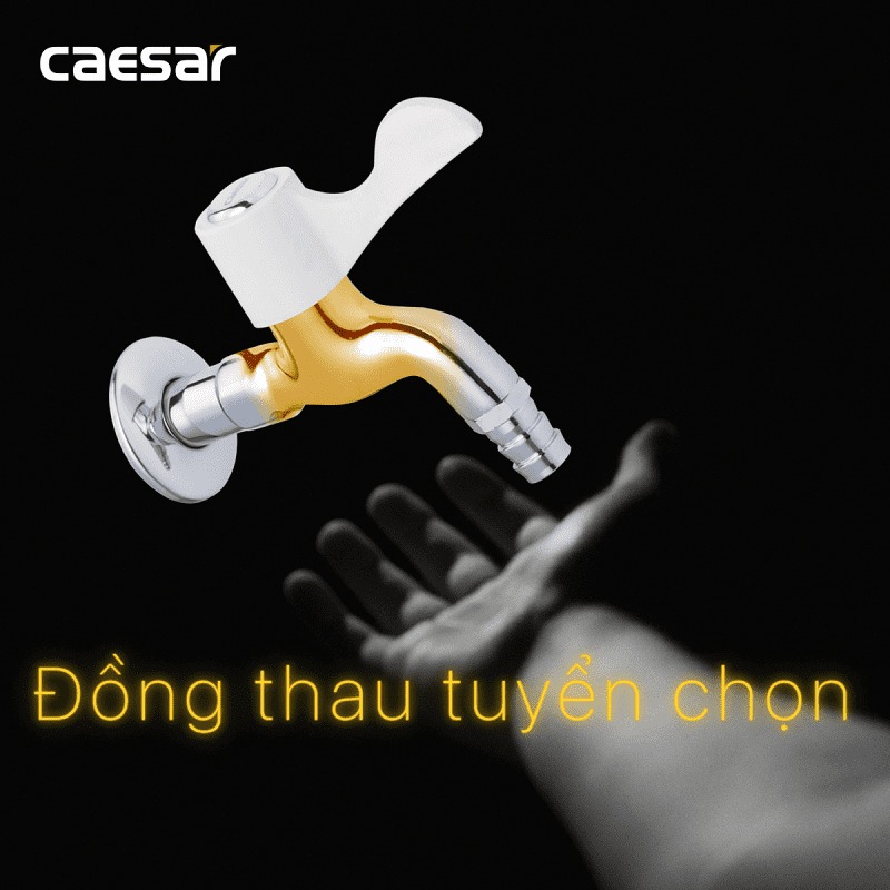 Vòi nước lạnh gắn tường Caesar WP027C