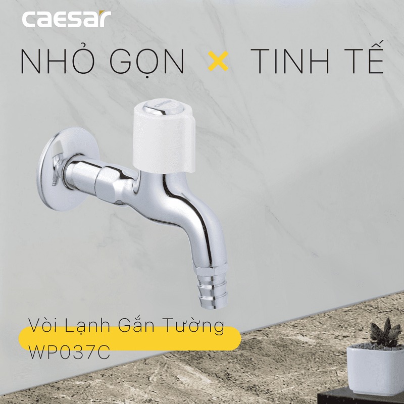 Vòi nước lạnh gắn tường Caesar WP037C