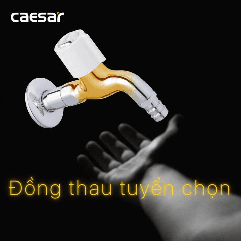 Vòi nước lạnh gắn tường Caesar WP037C