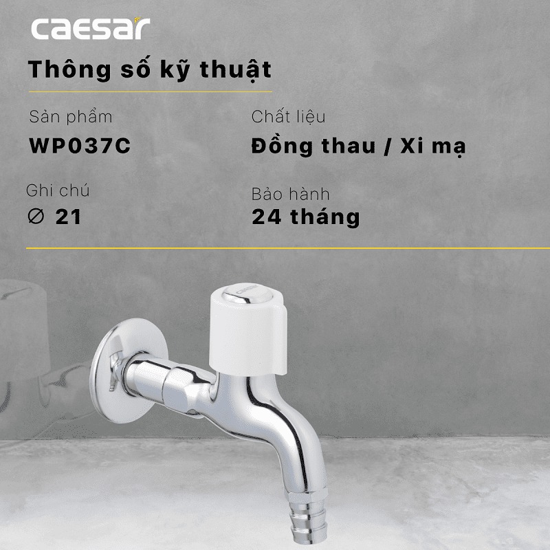 Vòi nước lạnh gắn tường Caesar WP037C