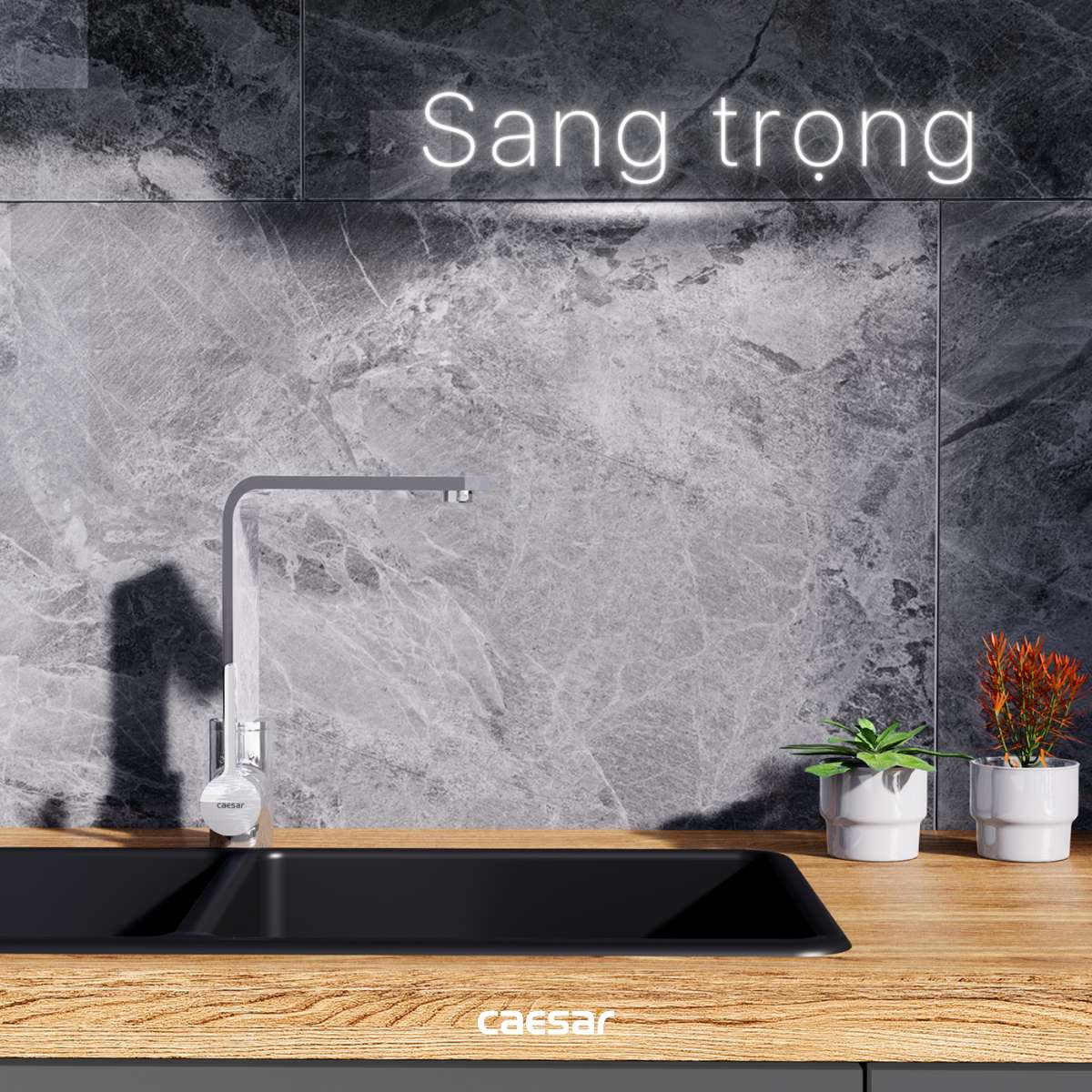 Vòi bếp nóng lạnh Caesar K665C