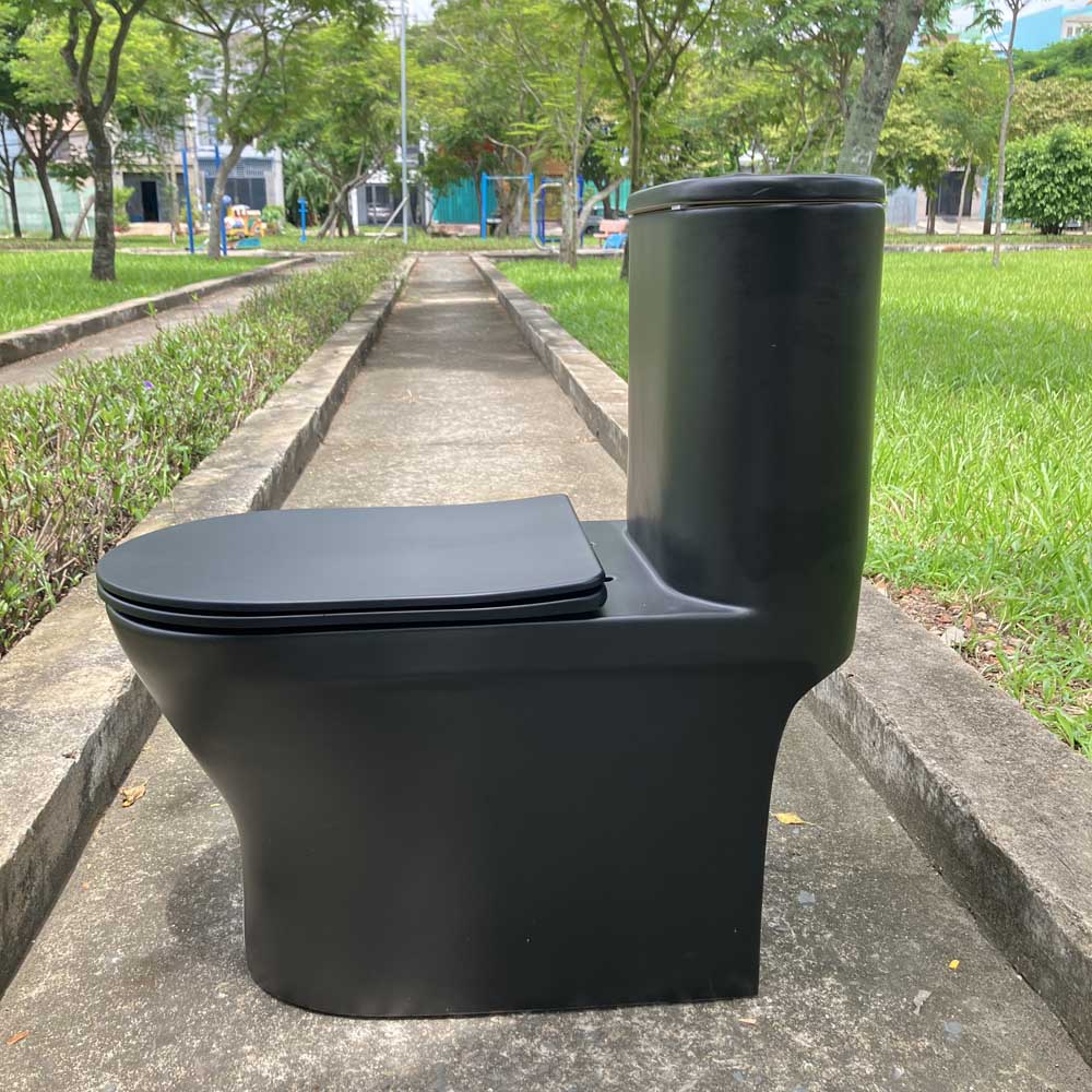 Bồn cầu 1 khối nắp đóng êm dòng Klirr COTTO C11007MBK màu đen mờ