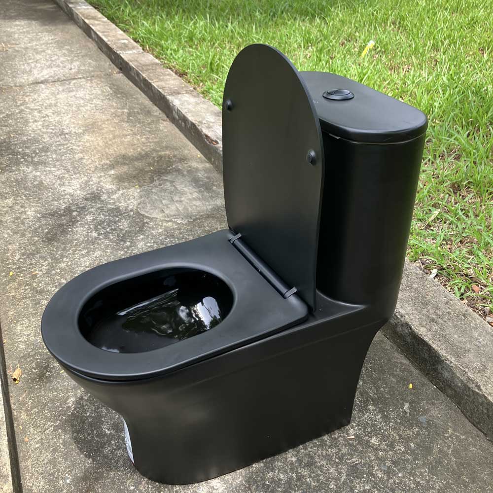 Bồn cầu 1 khối nắp đóng êm dòng Klirr COTTO C11007MBK màu đen mờ