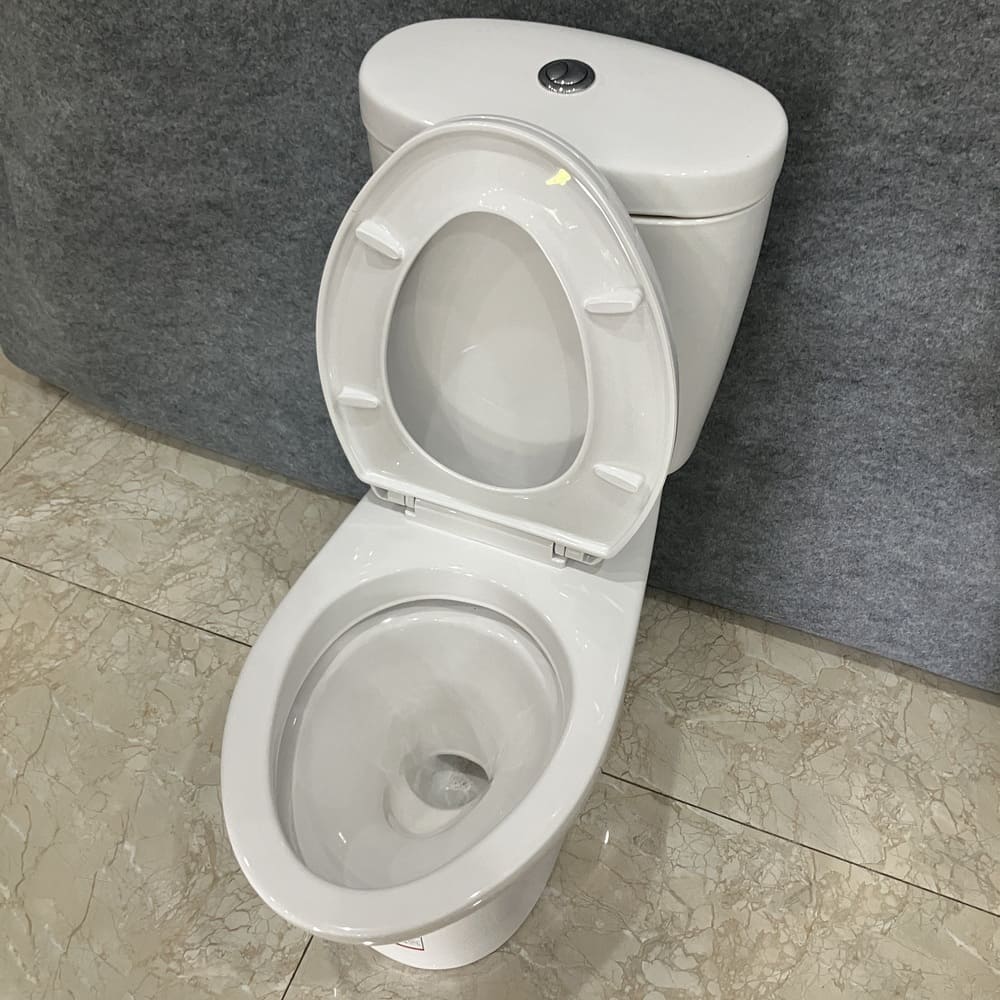 Bồn cầu 2 khối COTTO C1389 nắp êm dòng Timon