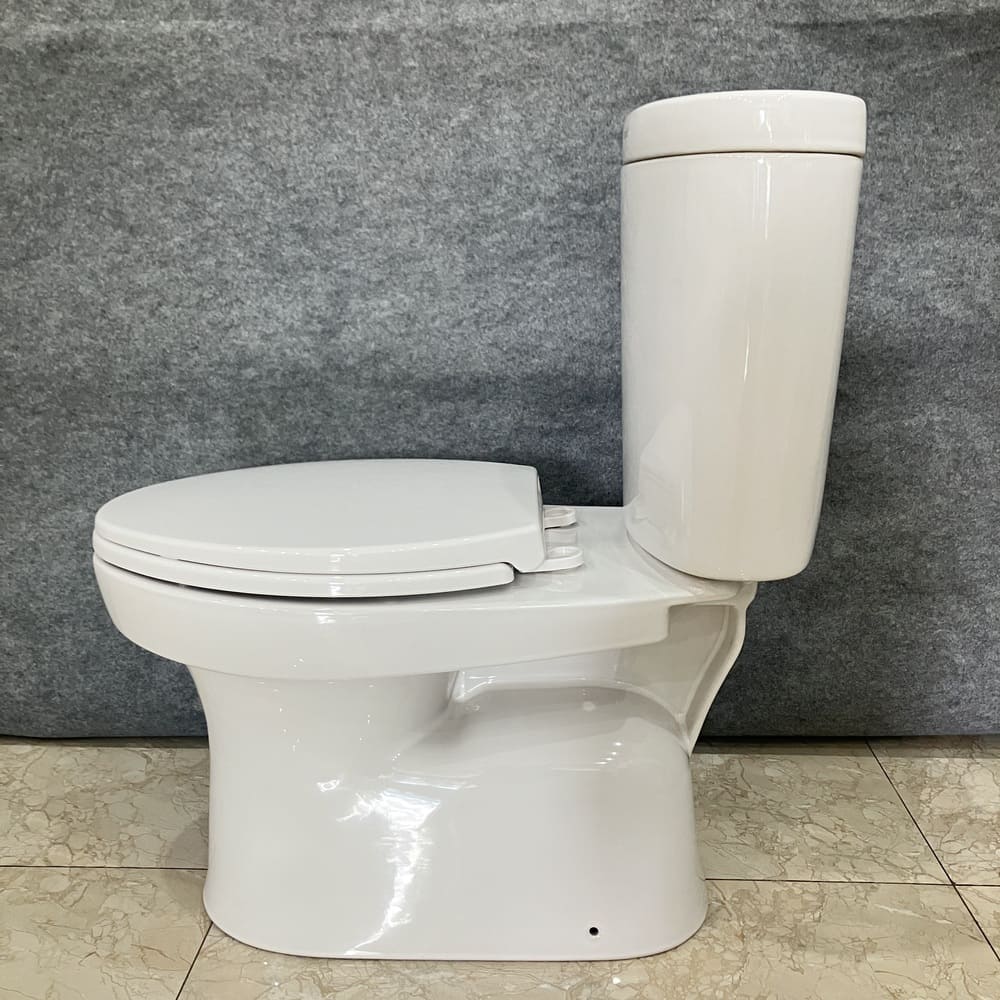 Bồn cầu 2 khối COTTO C1389 nắp êm dòng Timon