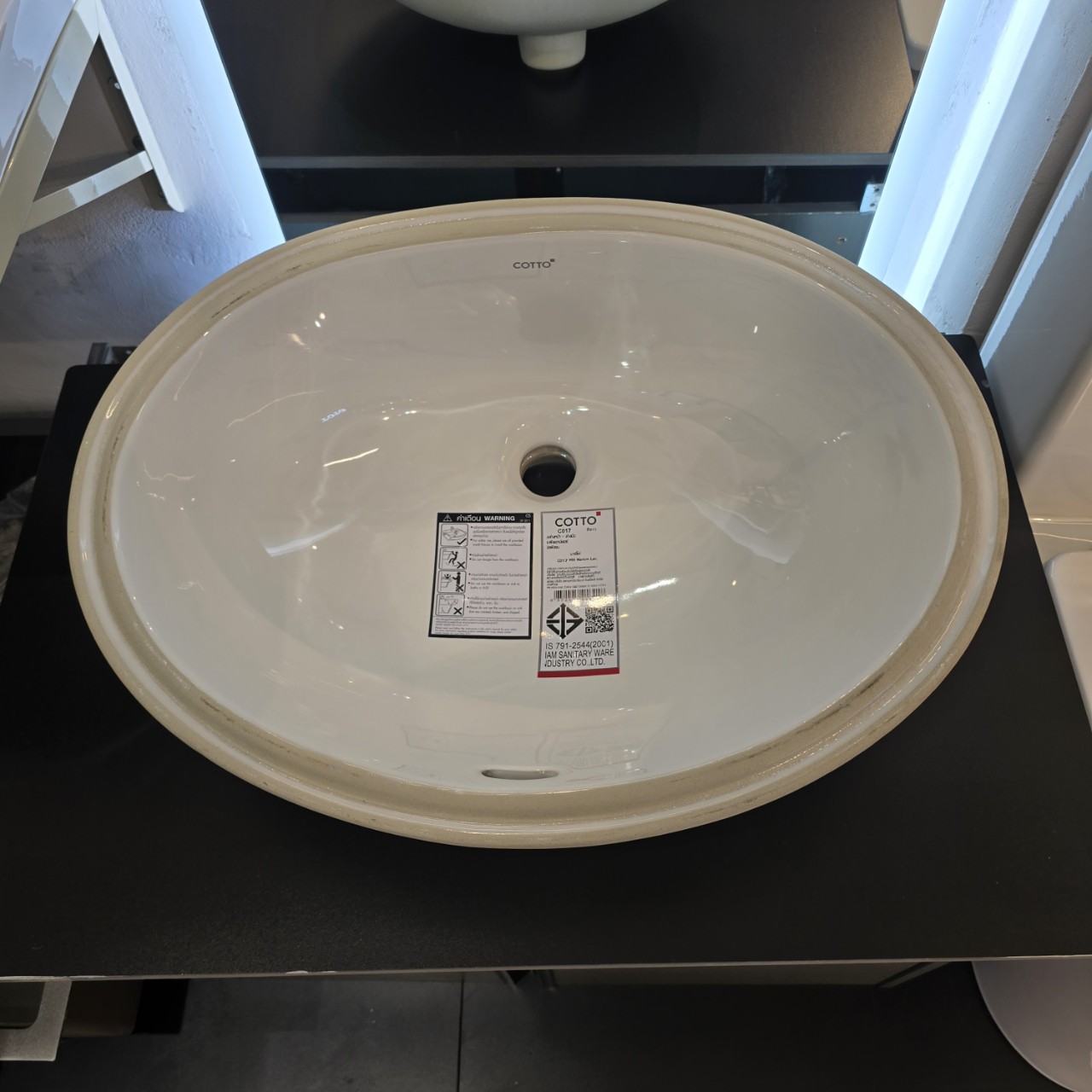 Chậu rửa mặt lavabo âm bàn COTTO C017