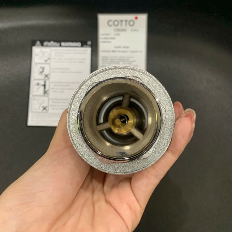 Chậu rửa lavabo đặt bàn COTTO C00343MBK