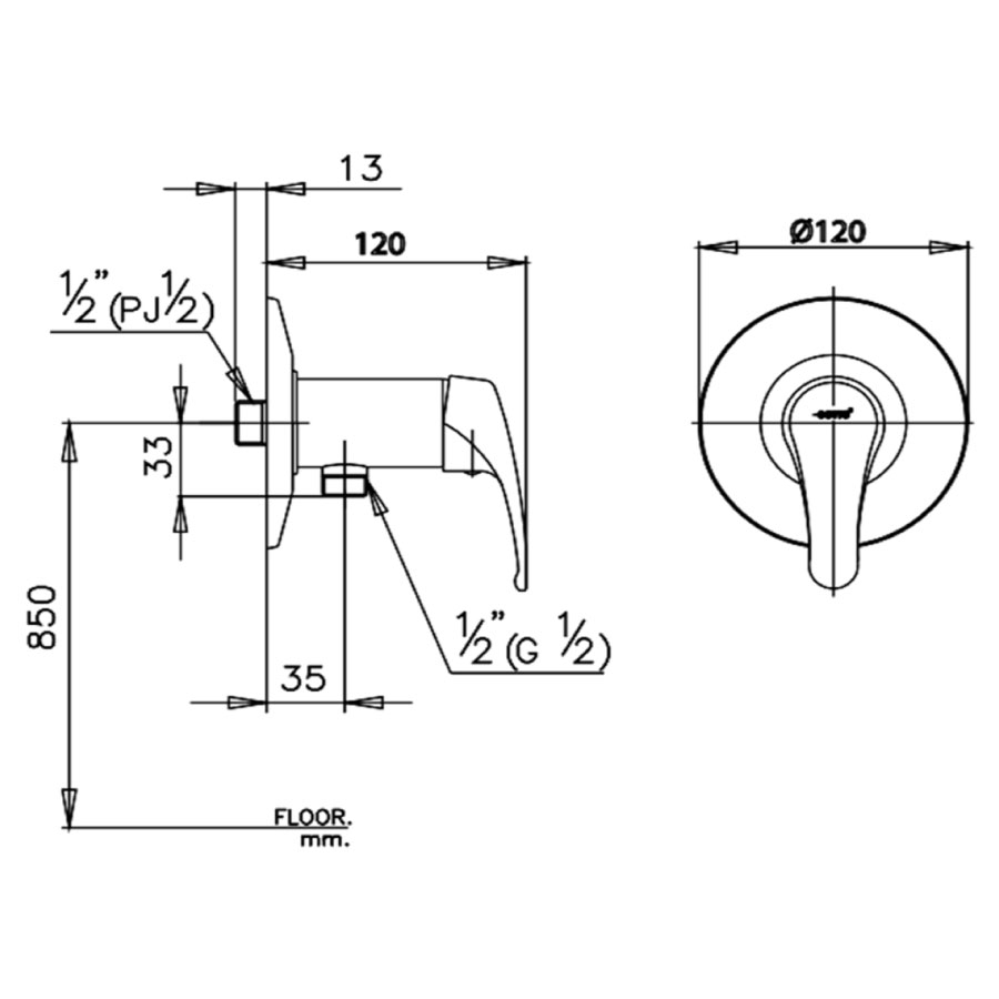 Củ sen tắm COTTO CT372A nước lạnh Arona