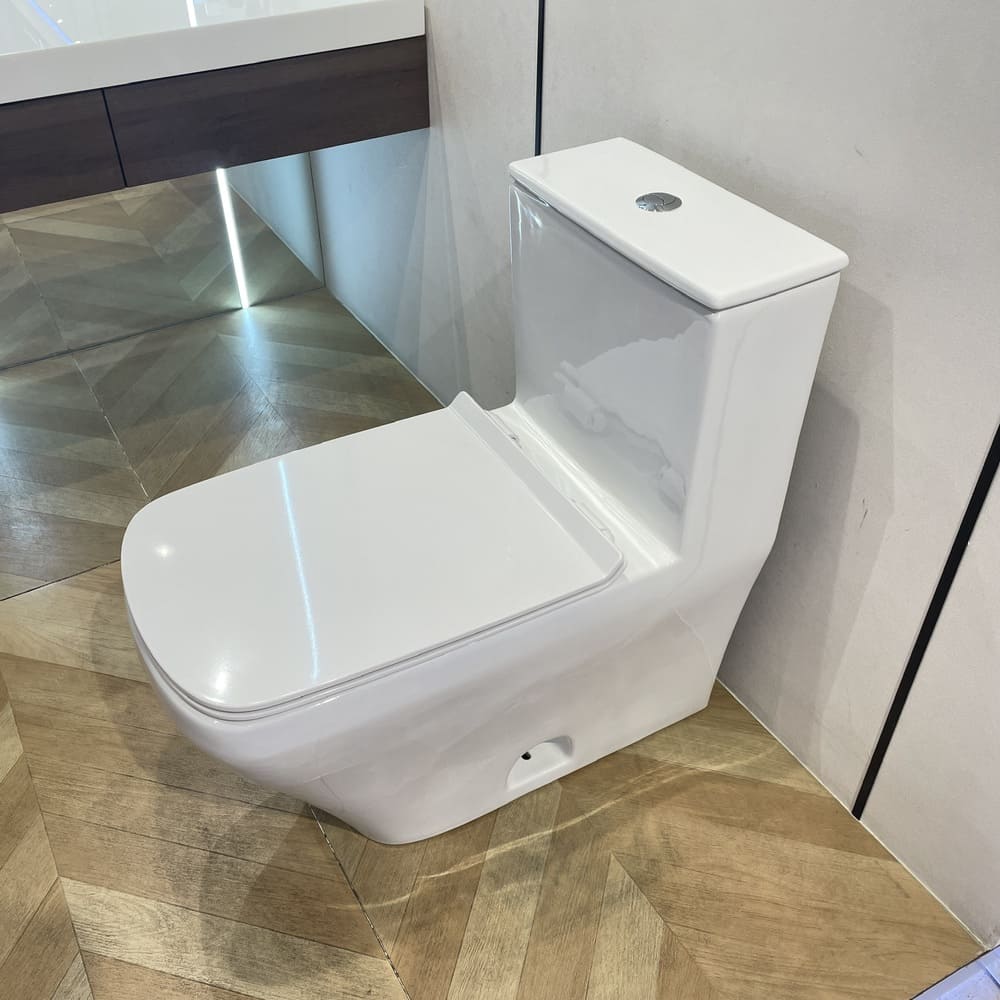 Bộ bồn cầu 1 khối DURASTYLE Duravit 2157010083 + 006059000 + 0014160000